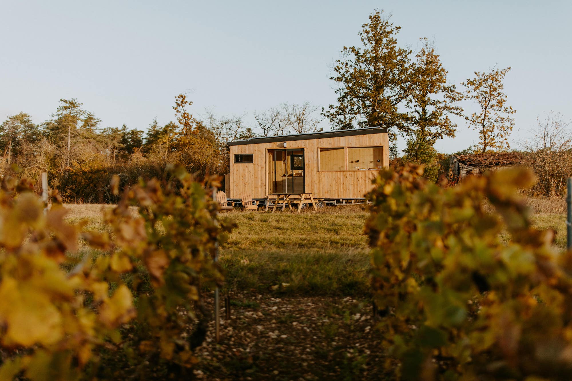 Tiny house uitzicht op de wijngaarden