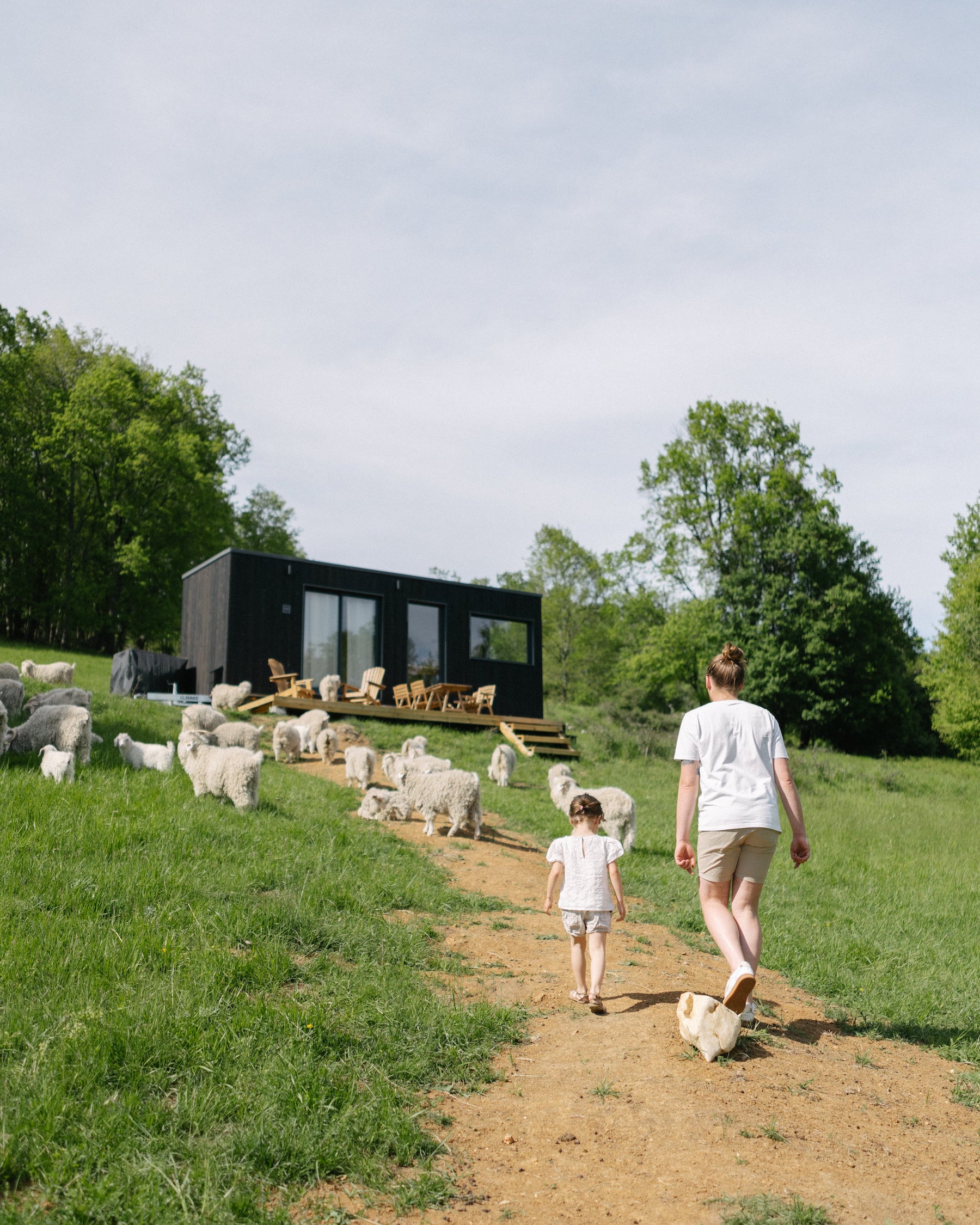 Tiny House entourée par les chèvres angoras