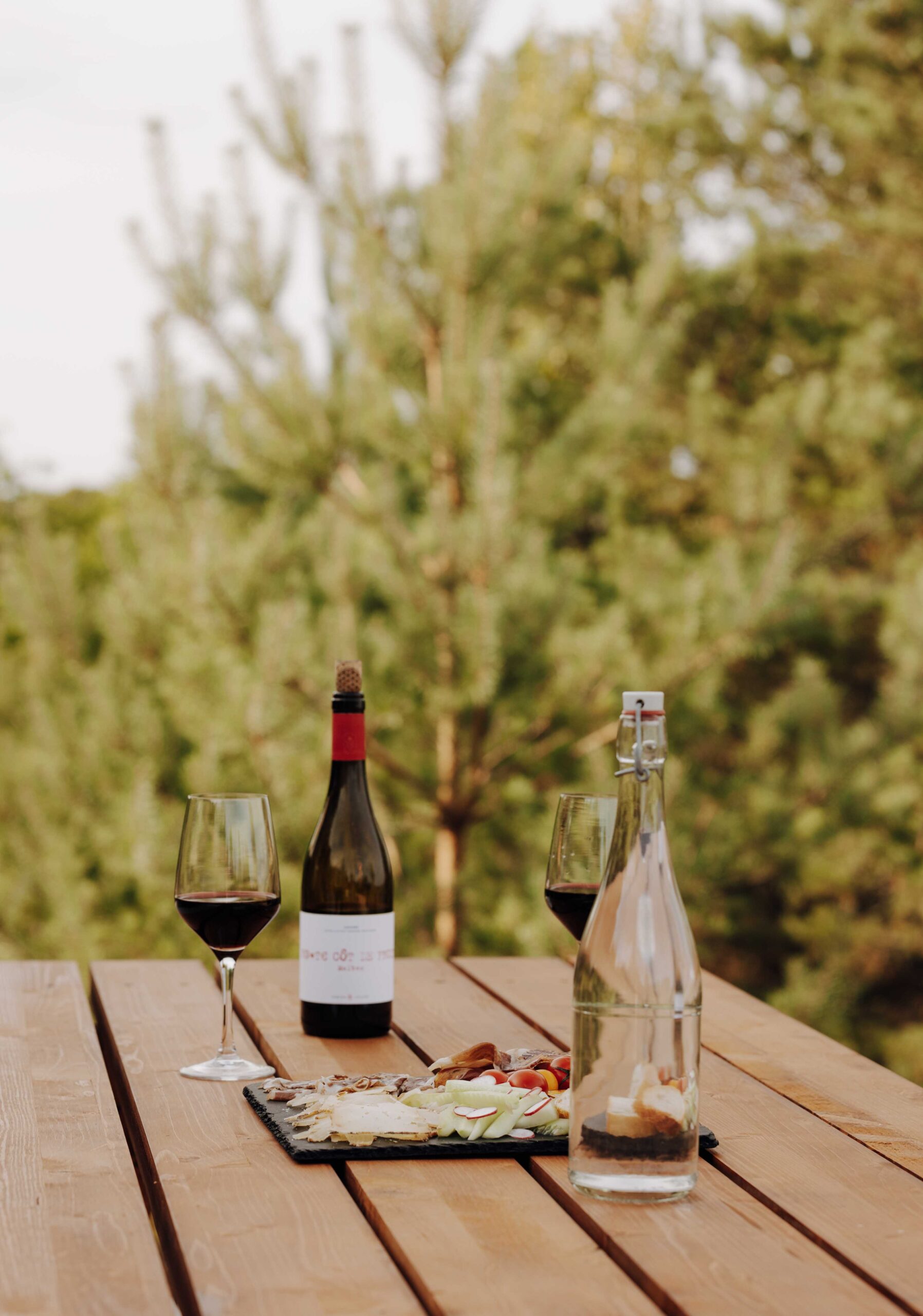 Apéro face à la nature