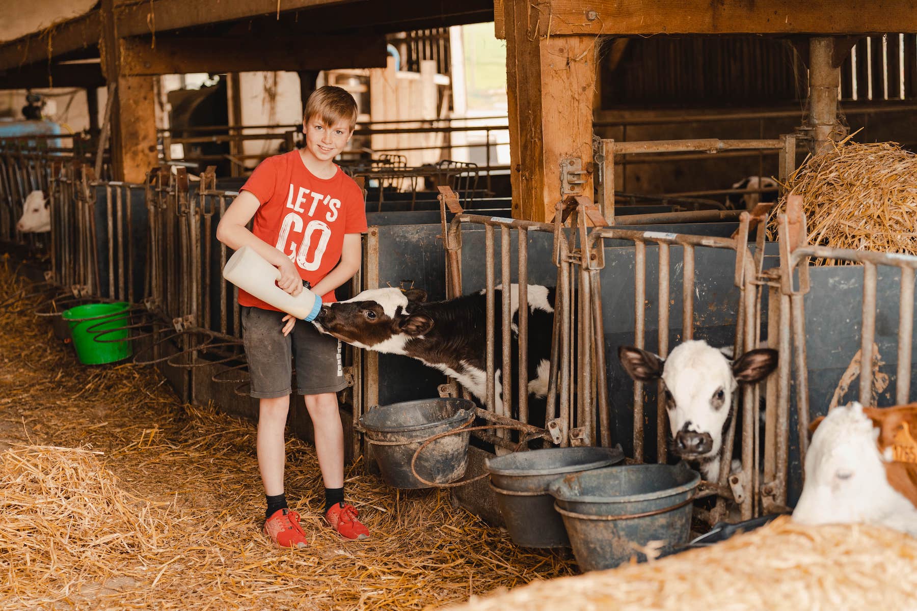 Visite de la ferme