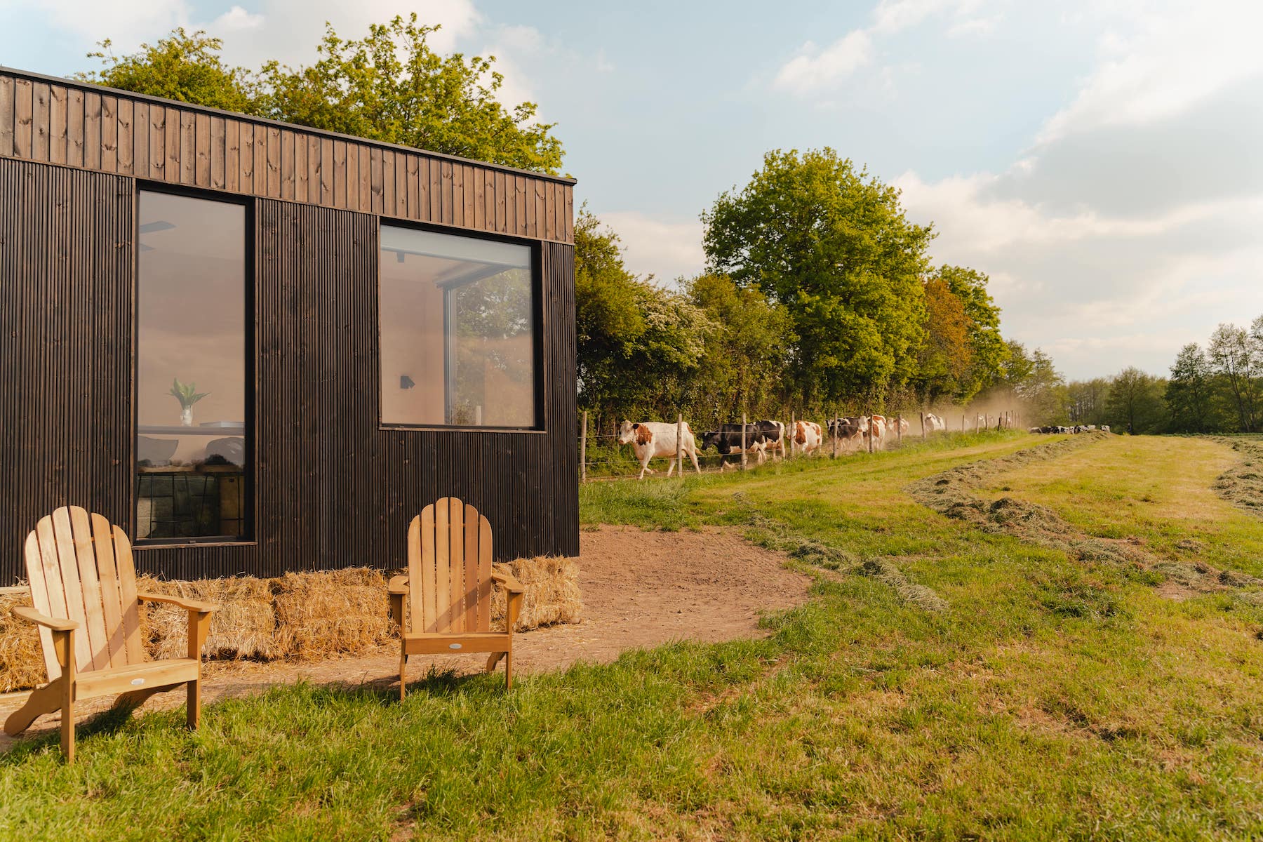 Tiny House dans les champs