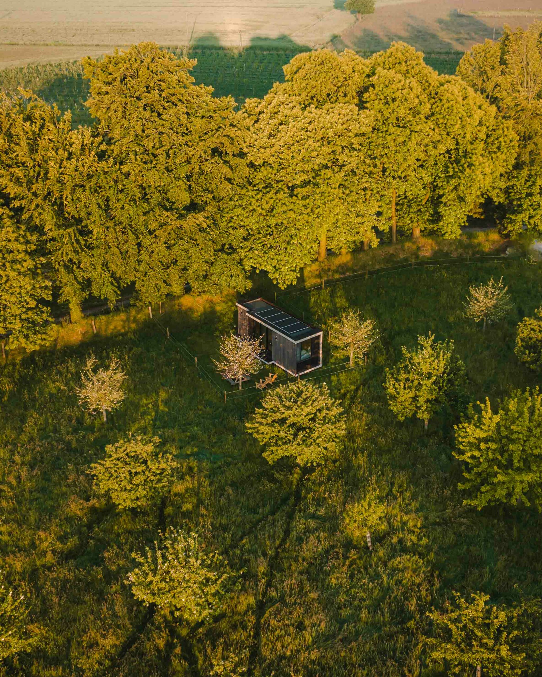 Tiny House in the heart of the orchards